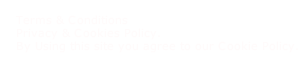 Terms & Conditions           Privacy & Cookies Policy.     By Using this site you agree to our Cookie Policy.